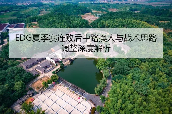 EDG夏季赛连败后中路换人与战术思路调整深度解析